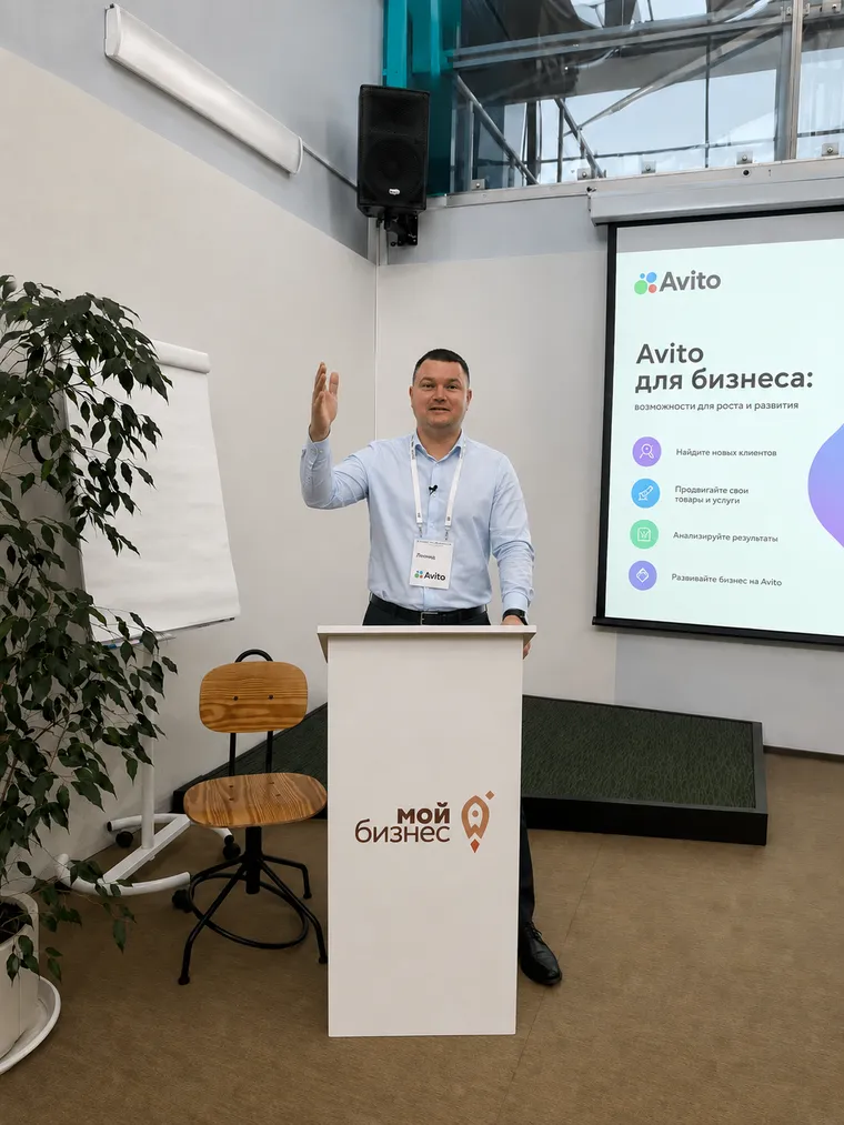 Леонид Соловьев, частный авитолог